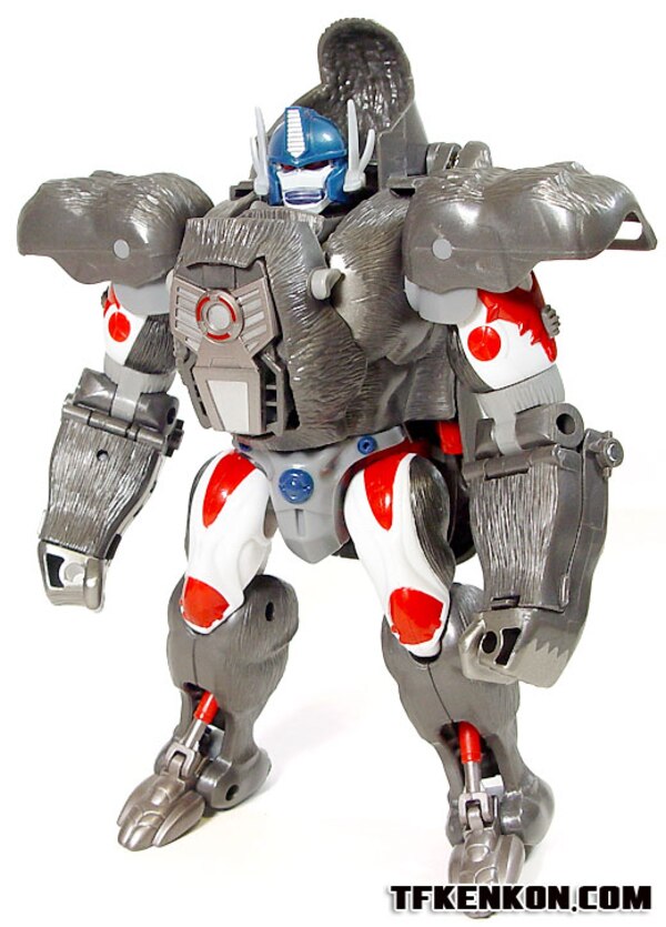 Image Of Takara Transformers Beast Wars Reborn BWR 01 Optimus Primal  (6 of 33)